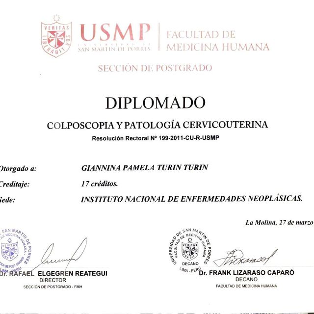 Acercar imagen: certificate 5