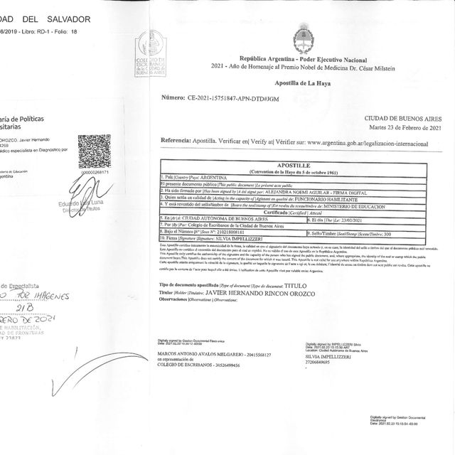 Acercar imagen: certificate 3