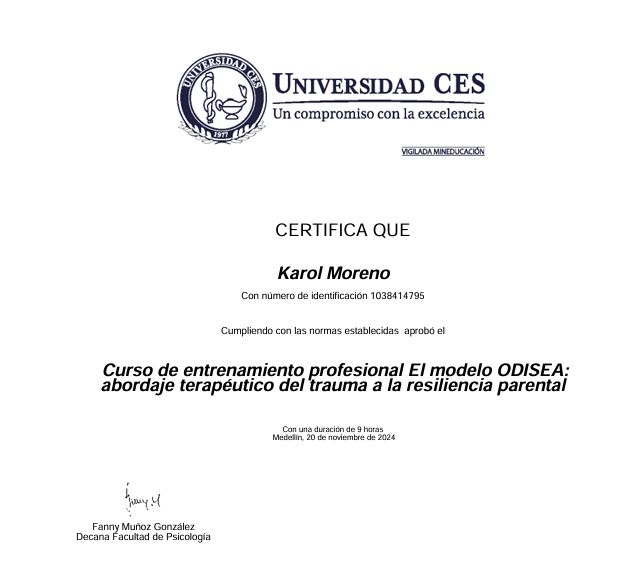 Acercar imagen: certificate 3