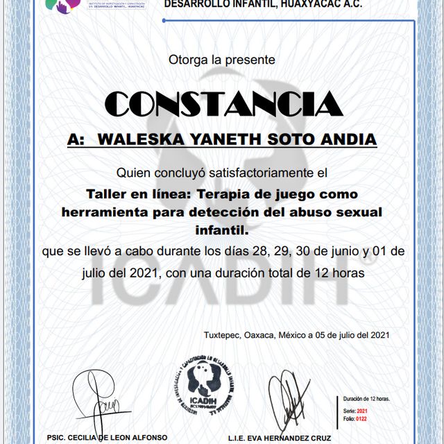 Acercar imagen: certificate 13