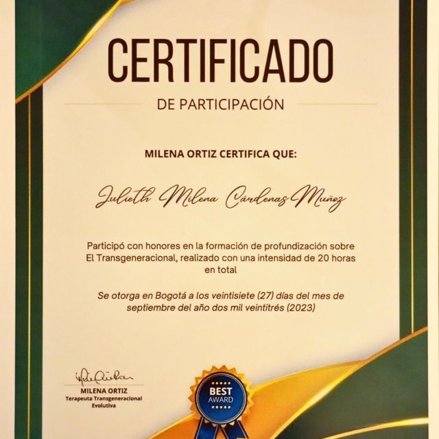 Acercar imagen: certificate 6