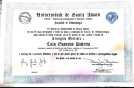 Ampliar imagem: certificate 2