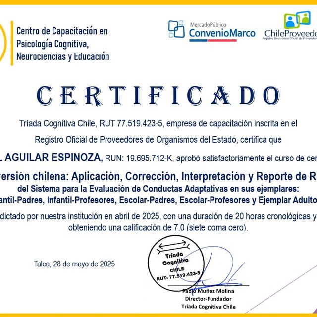 Acercar imagen: certificate 7