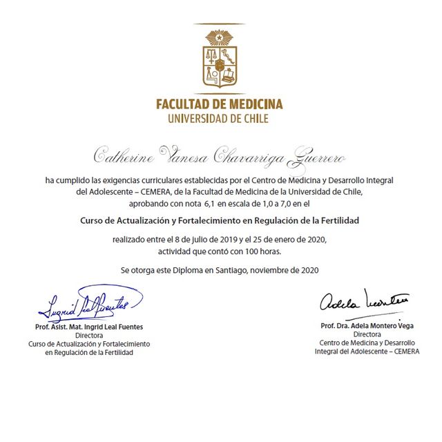 Acercar imagen: certificate 11