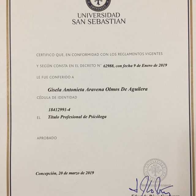 Acercar imagen: certificate 22