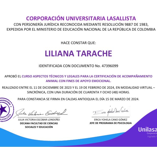 Acercar imagen: certificate 6