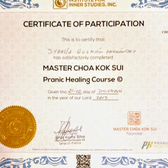 Acercar imagen: certificate 11