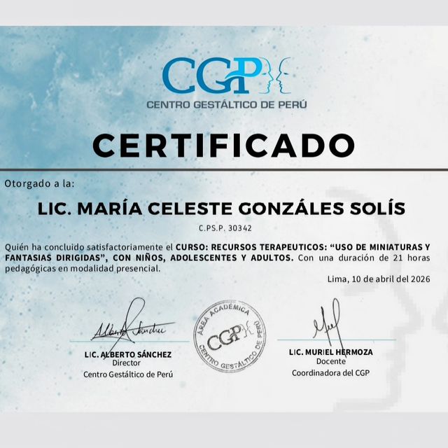 Acercar imagen: certificate 12