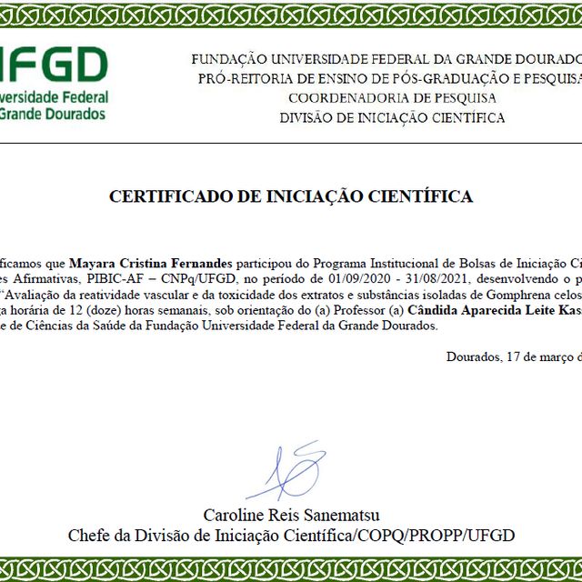 Ampliar imagem: certificate 7
