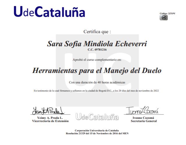 Acercar imagen: certificate 7
