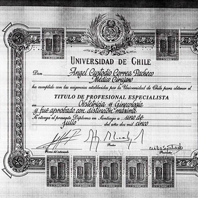 Acercar imagen: certificate 4