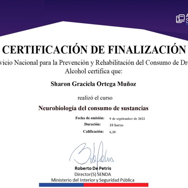 Acercar imagen: certificate 4