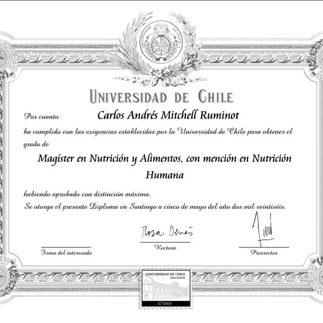 Acercar imagen: certificate 3