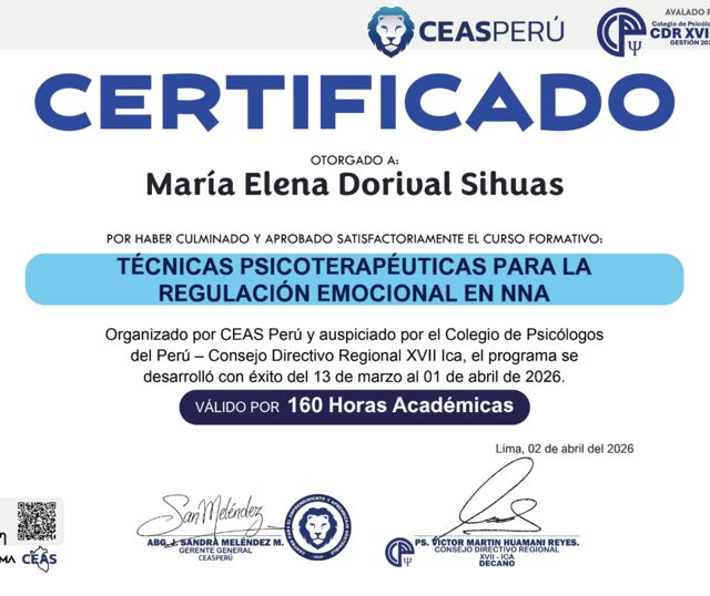 Acercar imagen: certificate 17