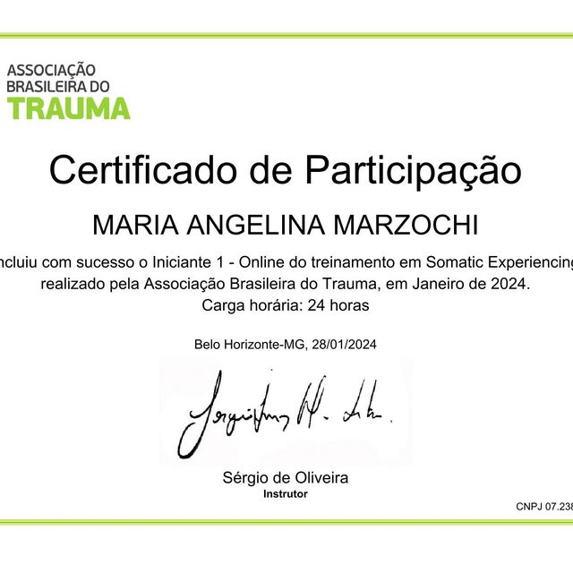 Ampliar imagem: certificate 3