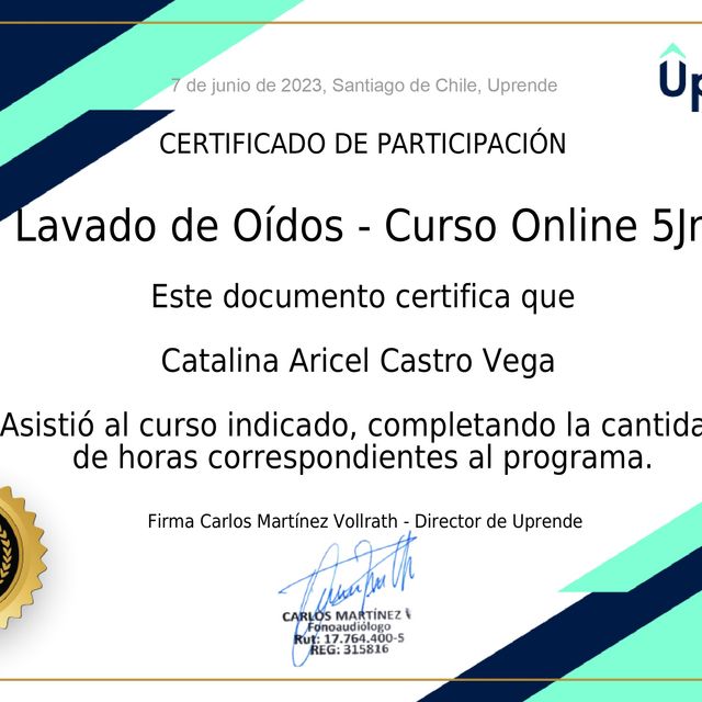 Acercar imagen: certificate 4