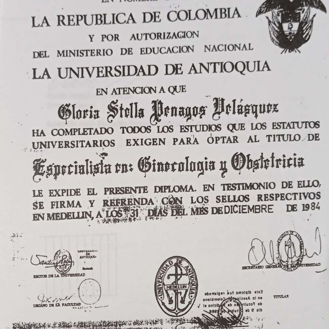 Acercar imagen: certificate 3