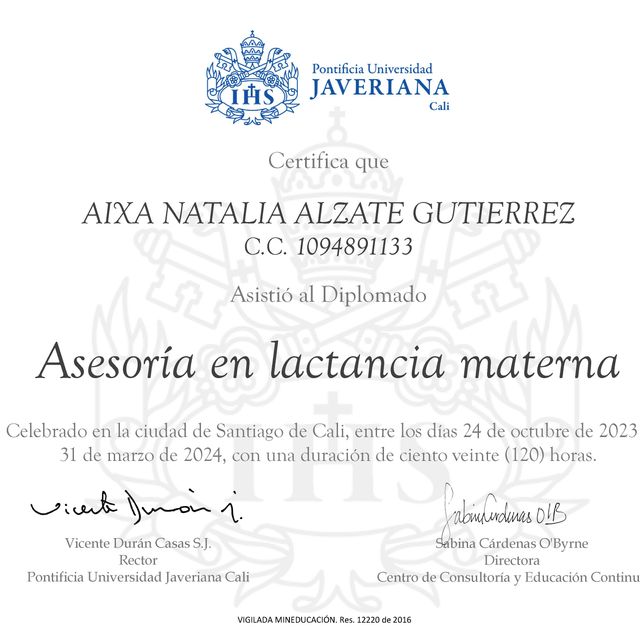Acercar imagen: certificate 2