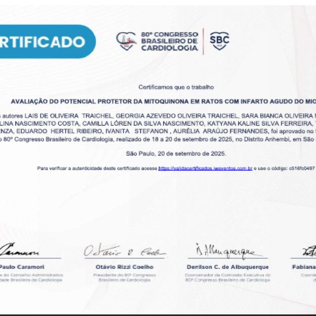 Ampliar imagem: certificate 1