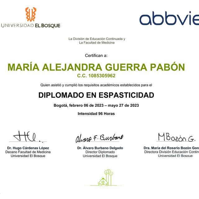 Acercar imagen: certificate 27