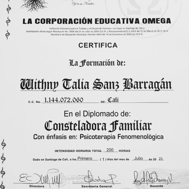 Acercar imagen: certificate 2