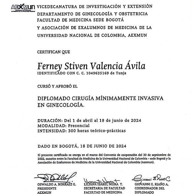 Acercar imagen: certificate 1