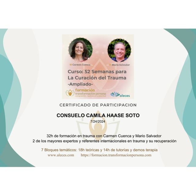 Acercar imagen: certificate 5