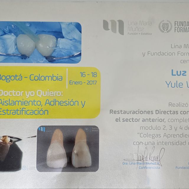 Acercar imagen: certificate 6