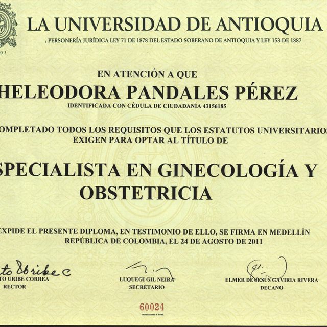Acercar imagen: certificate 2