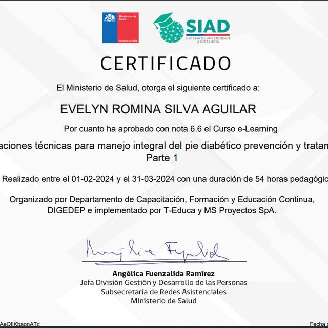Acercar imagen: certificate 13