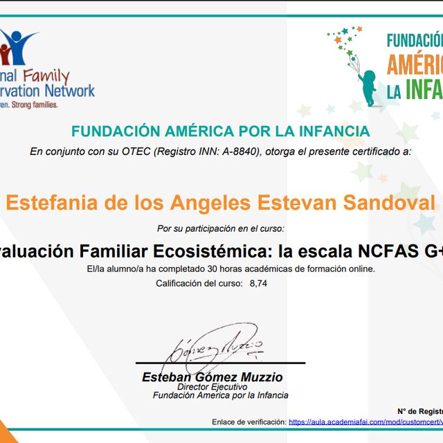 Acercar imagen: certificate 6
