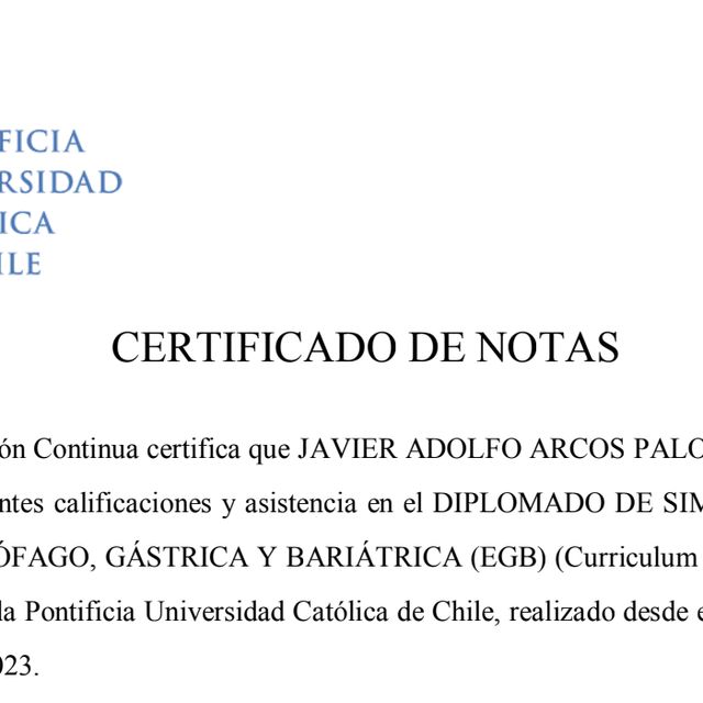 Acercar imagen: certificate 4