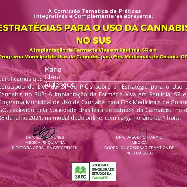 Ampliar imagem: certificate 9