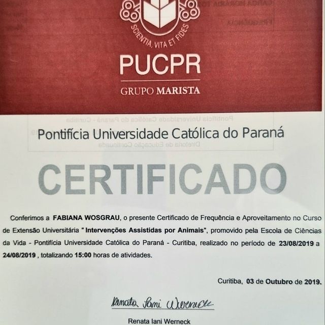 Ampliar imagem: certificate 4