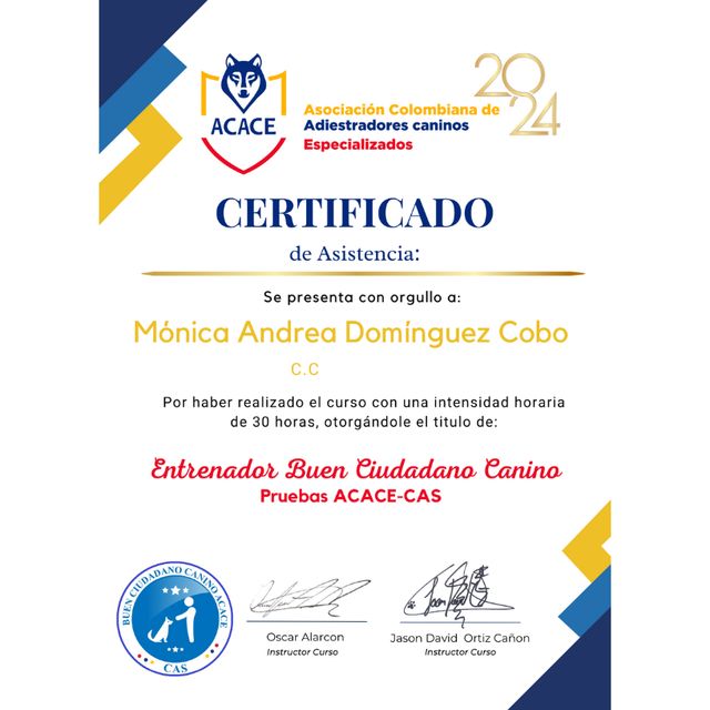 Acercar imagen: certificate 17