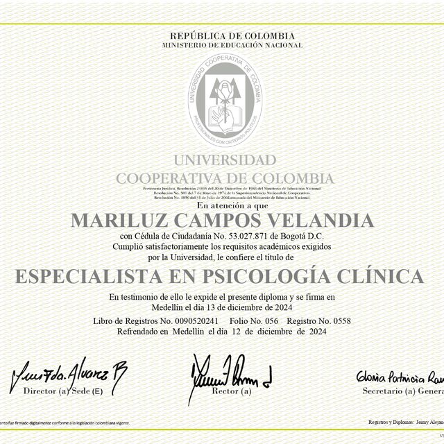 Acercar imagen: certificate 3