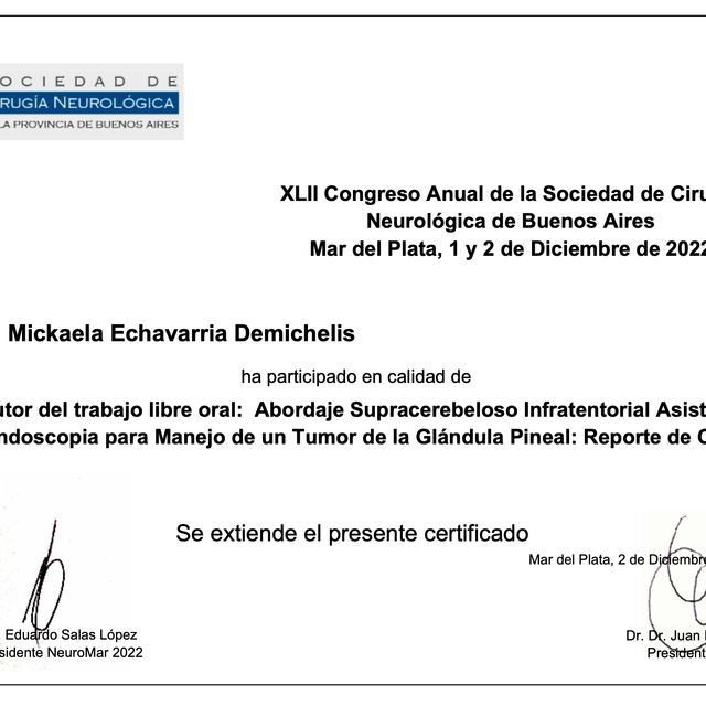 Acercar imagen: certificate 19