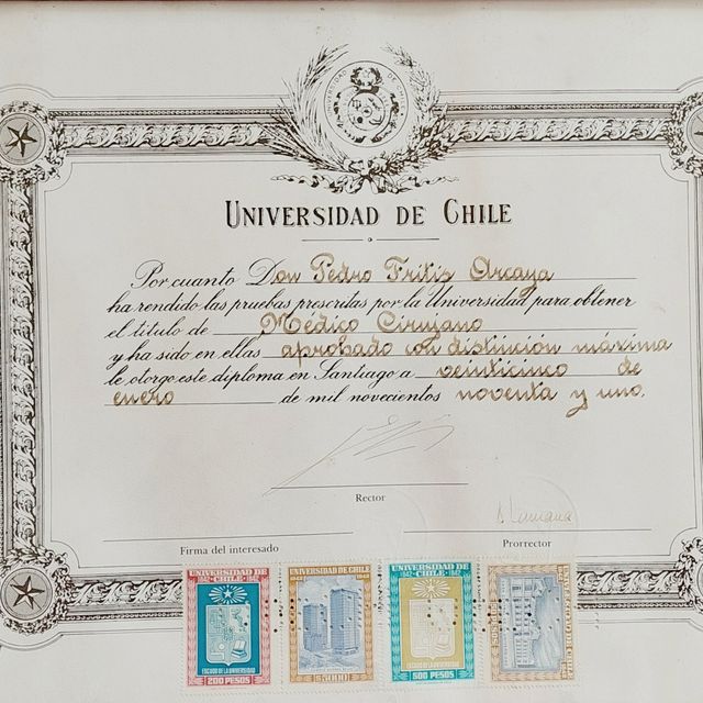 Acercar imagen: certificate 1