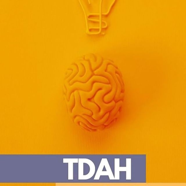 Ampliar imagem: certificate 7