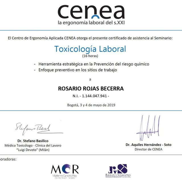 Acercar imagen: certificate 3