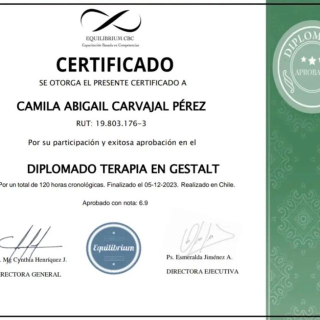 Acercar imagen: certificate 13