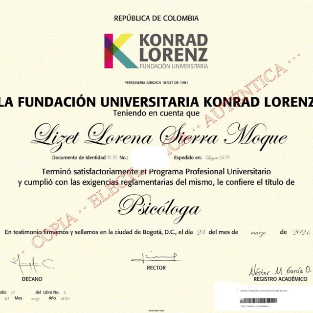 Acercar imagen: certificate 2
