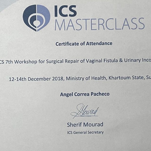 Acercar imagen: certificate 9