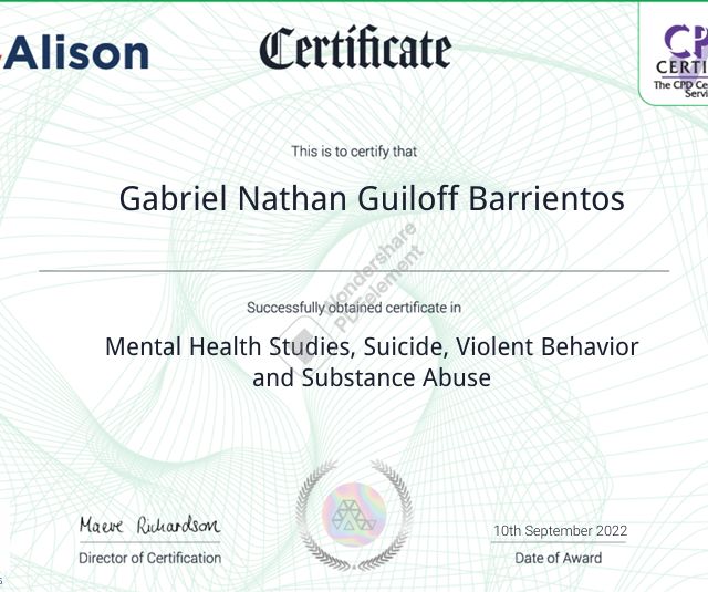 Acercar imagen: certificate 3