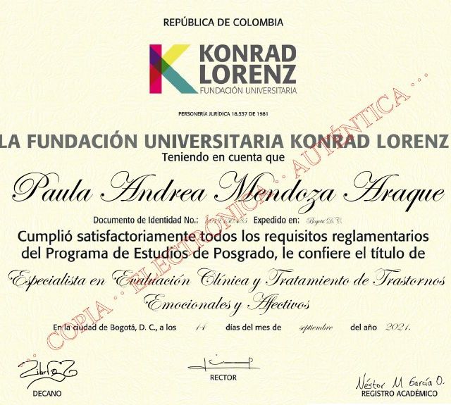 Acercar imagen: certificate 1
