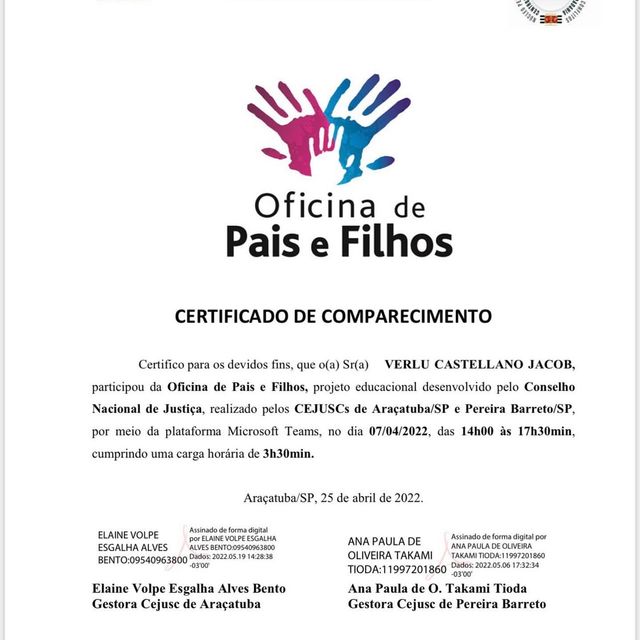 Ampliar imagem: certificate 11