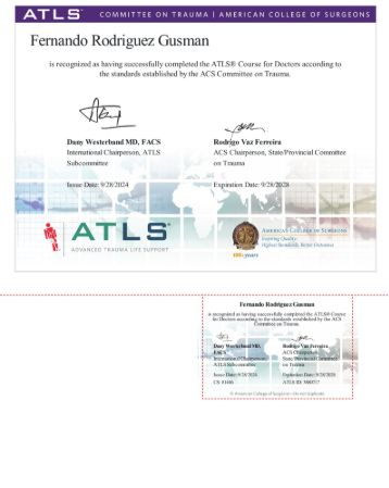 Ampliar imagem: certificate 4