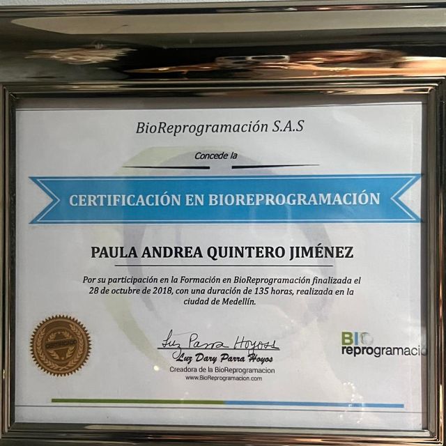 Acercar imagen: certificate 2