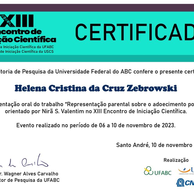 Ampliar imagem: certificate 8