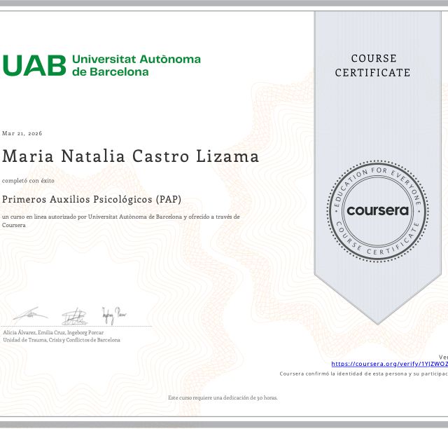 Acercar imagen: certificate 3